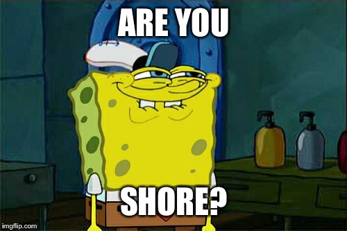 Don't You Squidward Meme | ARE YOU SHORE? | image tagged in memes,dont you squidward | made w/ Imgflip meme maker
