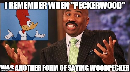 Steve Harvey Meme | I REMEMBER WHEN "PECKERWOOD" WAS ANOTHER FORM OF SAYING WOODPECKER | image tagged in memes,steve harvey | made w/ Imgflip meme maker