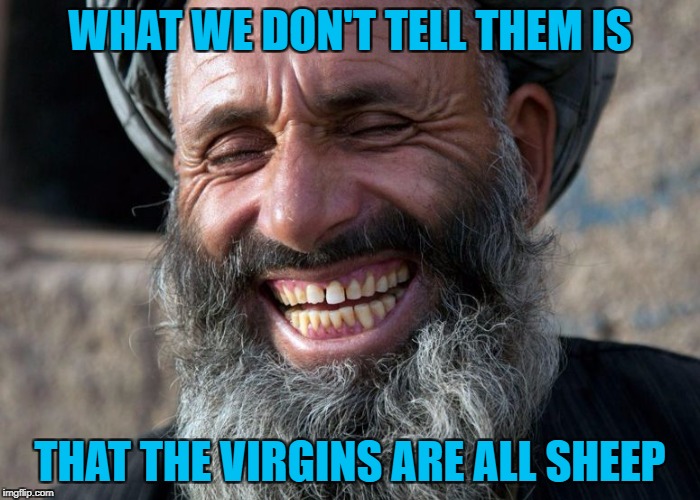 WHAT WE DON'T TELL THEM IS THAT THE VIRGINS ARE ALL SHEEP | made w/ Imgflip meme maker