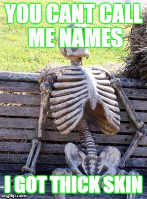Waiting Skeleton | YOU CANT CALL ME NAMES; I GOT THICK SKIN | image tagged in memes,waiting skeleton | made w/ Imgflip meme maker