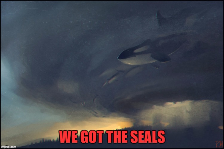 WE GOT THE SEALS | made w/ Imgflip meme maker