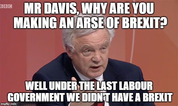 MR DAVIS, WHY ARE YOU MAKING AN ARSE OF BREXIT? WELL UNDER THE LAST LABOUR GOVERNMENT WE DIDN'T HAVE A BREXIT | image tagged in david davis,brexit | made w/ Imgflip meme maker