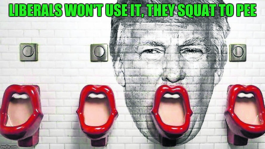 LIBERALS WON'T USE IT, THEY SQUAT TO PEE | made w/ Imgflip meme maker