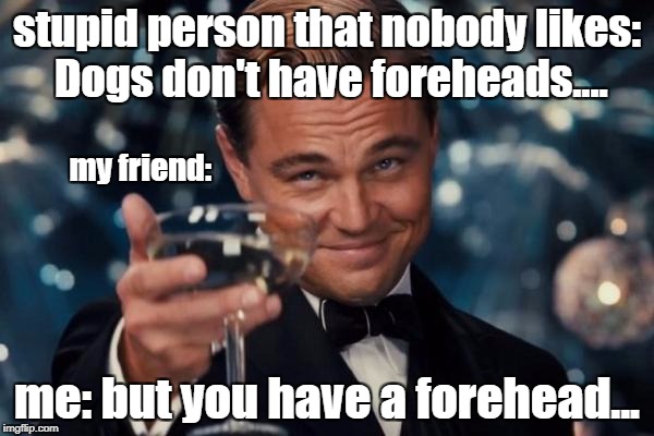 THIS HAPPENED TO ME TODAYYY | stupid person that nobody likes: Dogs don't have foreheads.... my friend:; me: but you have a forehead... | image tagged in exposed | made w/ Imgflip meme maker