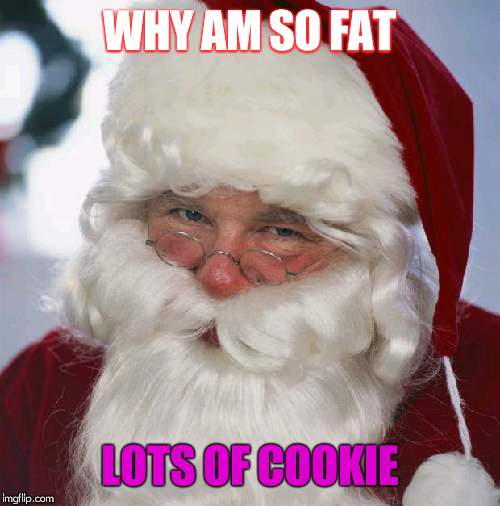 Santa clause | WHY AM SO FAT; LOTS OF COOKIE | image tagged in santa clause | made w/ Imgflip meme maker