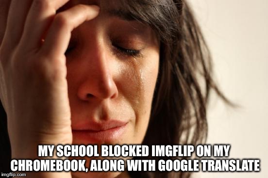 My worst nightmare has come true. I might only be seen on the weekends on this website. | MY SCHOOL BLOCKED IMGFLIP ON MY CHROMEBOOK, ALONG WITH GOOGLE TRANSLATE | image tagged in memes,first world problems,this is war,school,imgflip,hello darkness my old friend | made w/ Imgflip meme maker