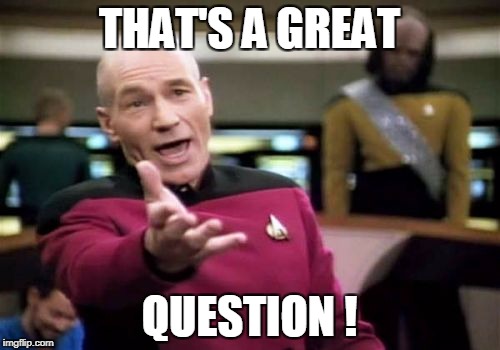 Picard Wtf Meme | THAT'S A GREAT QUESTION ! | image tagged in memes,picard wtf | made w/ Imgflip meme maker