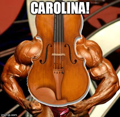 Viola, a violin on steroids | CAROLINA! | image tagged in viola a violin on steroids | made w/ Imgflip meme maker