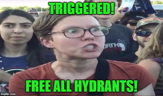 TRIGGERED! FREE ALL HYDRANTS! | made w/ Imgflip meme maker
