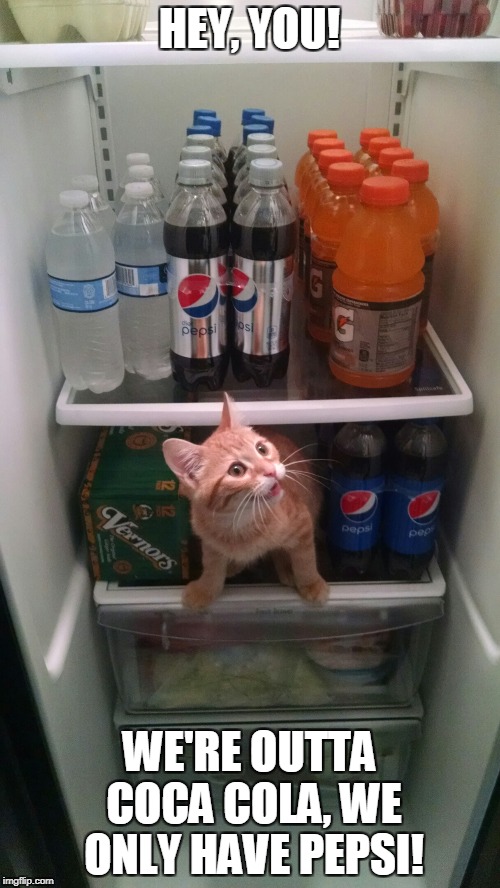 Fridge Kitty | HEY, YOU! WE'RE OUTTA COCA COLA, WE ONLY HAVE PEPSI! | image tagged in fridge kitty | made w/ Imgflip meme maker