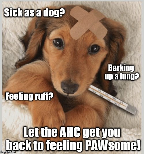 Sick as a dog? Barking up a lung? Feeling ruff? Let the AHC get you back to feeling PAWsome! | image tagged in ahc,dawgpound | made w/ Imgflip meme maker