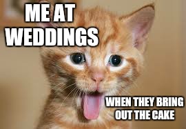 ME AT WEDDINGS; WHEN THEY BRING OUT THE CAKE | image tagged in that looks tasty cat | made w/ Imgflip meme maker