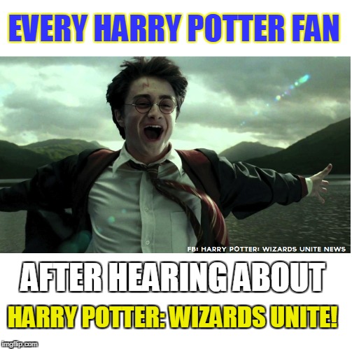 Harry Potter Wizards Unite Meme | EVERY HARRY POTTER FAN; AFTER HEARING ABOUT; HARRY POTTER: WIZARDS UNITE! | image tagged in harry potter meme,harry potter,pokemon,pokemon go | made w/ Imgflip meme maker