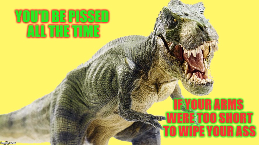 The Reason T-Rex Is Always Mad | YOU'D BE PISSED ALL THE TIME; IF YOUR ARMS WERE TOO SHORT TO WIPE YOUR ASS | image tagged in t-rex,wipe,dinosaur,pissed off,wipe my own ass | made w/ Imgflip meme maker