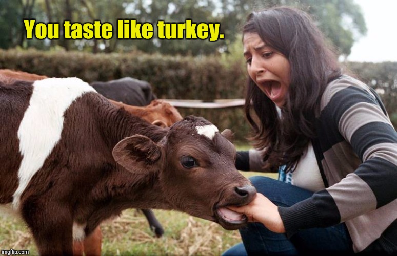 You taste like turkey. | made w/ Imgflip meme maker