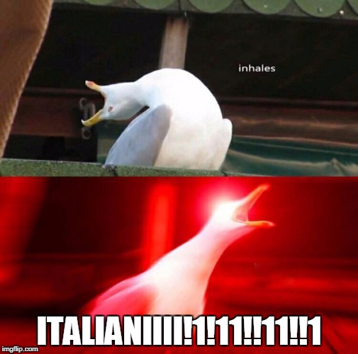 Italian Seagull | ITALIANIIII!1!11!!11!!1 | image tagged in inhaling seagull | made w/ Imgflip meme maker