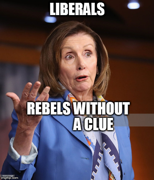 Rebels without a clue | LIBERALS; REBELS WITHOUT 
         A CLUE | image tagged in libtards,lol so funny,frontpage,funny memes,nancy pelosi,politics lol | made w/ Imgflip meme maker