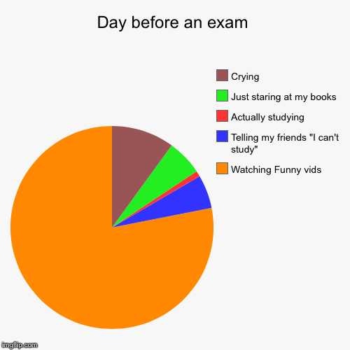 Reality | image tagged in funny,pie charts,relatable,truth,exams,stressed out | made w/ Imgflip chart maker