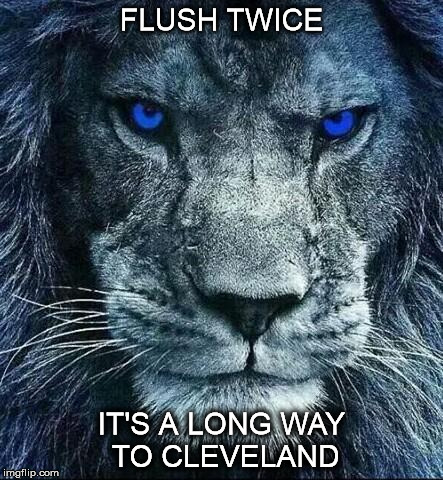 detroit lions | FLUSH TWICE; IT'S A LONG WAY TO CLEVELAND | image tagged in detroit lions | made w/ Imgflip meme maker