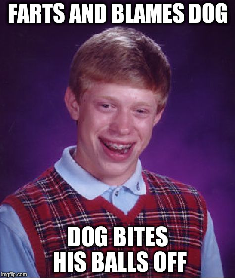 Bad Luck Brian Meme | FARTS AND BLAMES DOG DOG BITES HIS BALLS OFF | image tagged in memes,bad luck brian | made w/ Imgflip meme maker