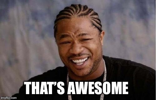 Yo Dawg Heard You Meme | THAT’S AWESOME | image tagged in memes,yo dawg heard you | made w/ Imgflip meme maker