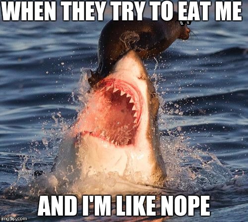 Travelonshark | WHEN THEY TRY TO EAT ME; AND I'M LIKE NOPE | image tagged in memes,travelonshark | made w/ Imgflip meme maker