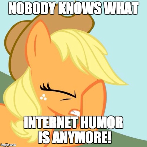 Some idiots I have seen on the internet need a lesson in internet humor! | NOBODY KNOWS WHAT; INTERNET HUMOR IS ANYMORE! | image tagged in aj face hoof,memes,internet humor | made w/ Imgflip meme maker