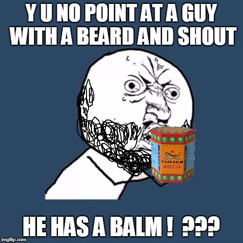 Y U No Meme | Y U NO POINT AT A GUY WITH A BEARD AND SHOUT HE HAS A BALM !  ??? | image tagged in memes,y u no | made w/ Imgflip meme maker