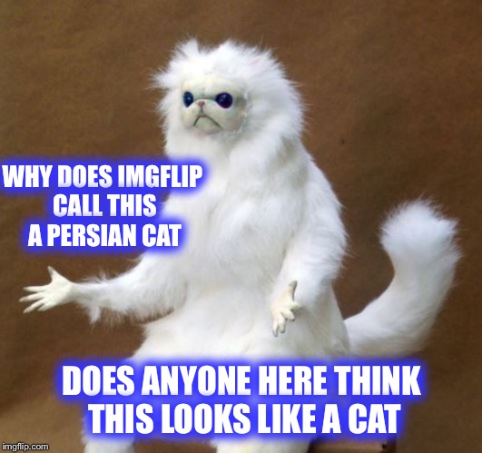 I mean, honestly! | WHY DOES IMGFLIP CALL THIS A PERSIAN CAT; DOES ANYONE HERE THINK THIS LOOKS LIKE A CAT | image tagged in persian cat room guardian,wrong,oh really | made w/ Imgflip meme maker