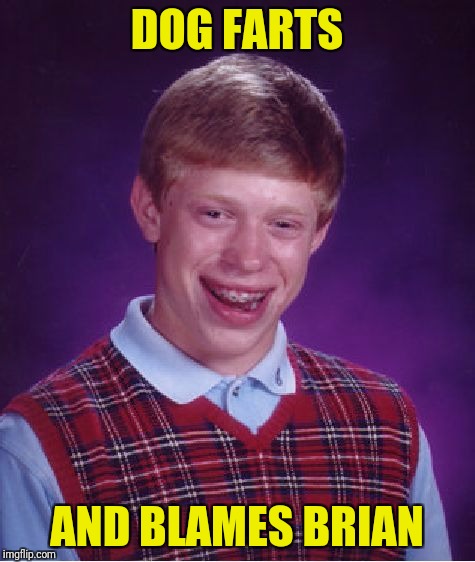 Bad Luck Brian Meme | DOG FARTS AND BLAMES BRIAN | image tagged in memes,bad luck brian | made w/ Imgflip meme maker