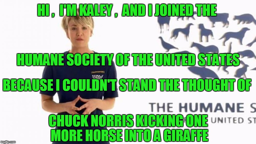 HI ,  I'M KALEY ,  AND I JOINED THE BECAUSE I COULDN'T STAND THE THOUGHT OF HUMANE SOCIETY OF THE UNITED STATES CHUCK NORRIS KICKING ONE MOR | made w/ Imgflip meme maker