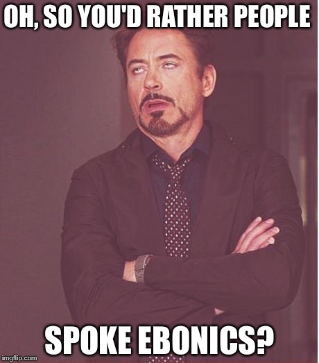 Face You Make Robert Downey Jr Meme | OH, SO YOU'D RATHER PEOPLE SPOKE EBONICS? | image tagged in memes,face you make robert downey jr | made w/ Imgflip meme maker