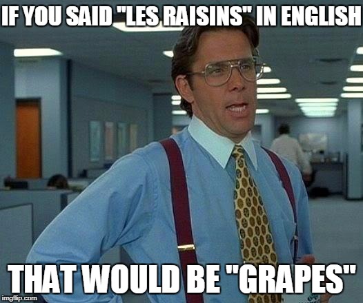 That Would Be Great Meme | IF YOU SAID "LES RAISINS" IN ENGLISH THAT WOULD BE "GRAPES" | image tagged in memes,that would be great | made w/ Imgflip meme maker