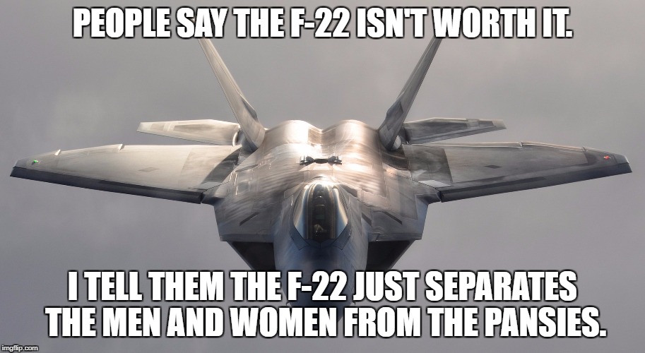 F-22 Raptor | PEOPLE SAY THE F-22 ISN'T WORTH IT. I TELL THEM THE F-22 JUST SEPARATES THE MEN AND WOMEN FROM THE PANSIES. | image tagged in f-22 raptor | made w/ Imgflip meme maker