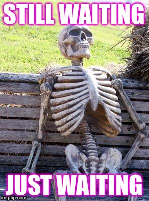 Waiting Skeleton Meme | STILL WAITING JUST WAITING | image tagged in memes,waiting skeleton | made w/ Imgflip meme maker