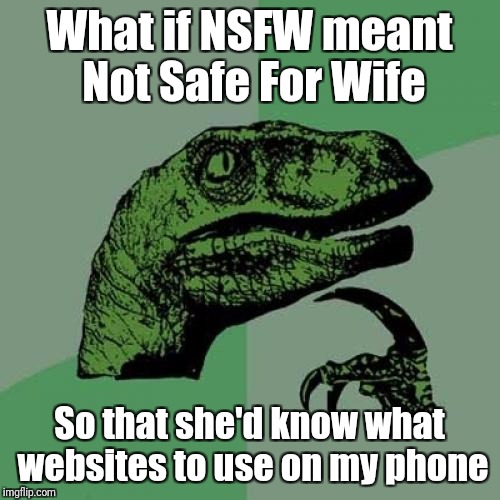 Philosoraptor Meme | What if NSFW meant Not Safe For Wife; So that she'd know what websites to use on my phone | image tagged in memes,philosoraptor | made w/ Imgflip meme maker