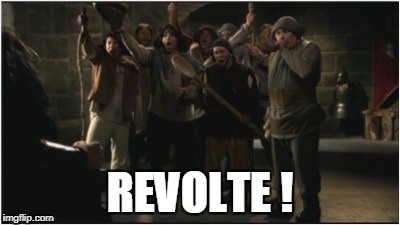 REVOLTE ! | image tagged in revolution | made w/ Imgflip meme maker