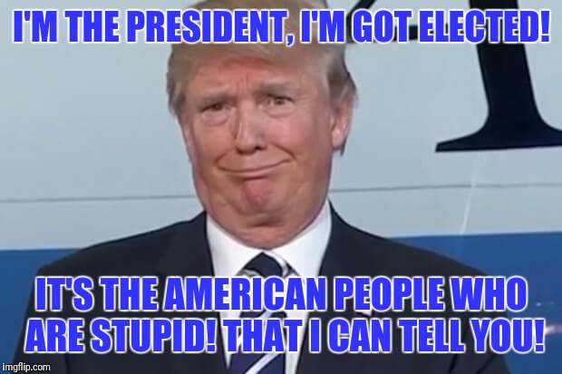 I'M THE PRESIDENT, I'M GOT ELECTED! IT'S THE AMERICAN PEOPLE WHO ARE STUPID! THAT I CAN TELL YOU! | made w/ Imgflip meme maker