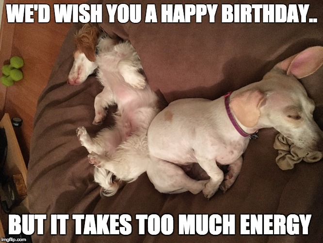 WE'D WISH YOU A HAPPY BIRTHDAY.. BUT IT TAKES TOO MUCH ENERGY | image tagged in birthday | made w/ Imgflip meme maker
