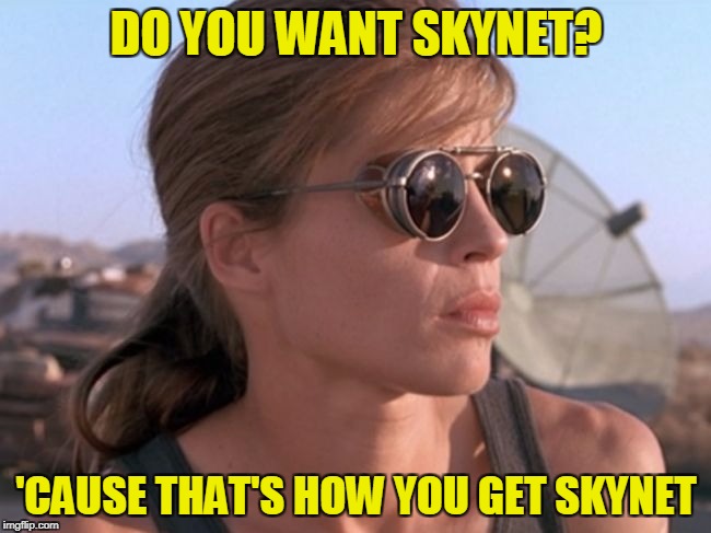 Do you want Skynet? | DO YOU WANT SKYNET? 'CAUSE THAT'S HOW YOU GET SKYNET | image tagged in sarah connor,memes,terminator 2 | made w/ Imgflip meme maker