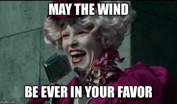 Happy Hunger Games | MAY THE WIND; BE EVER IN YOUR FAVOR | image tagged in happy hunger games | made w/ Imgflip meme maker