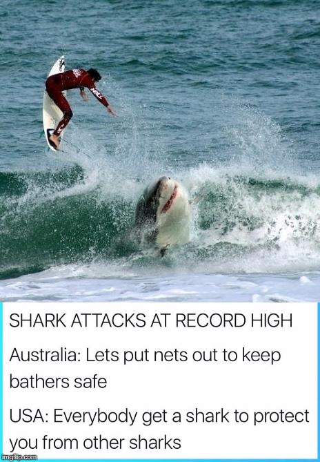 Prevent Shark Attacks American Style | image tagged in shark attack,surfing,australia,america,gun control,shark | made w/ Imgflip meme maker