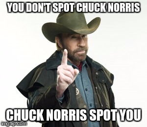 Chuck Norris  | YOU DON'T SPOT CHUCK NORRIS; CHUCK NORRIS SPOT YOU | image tagged in chuck norris | made w/ Imgflip meme maker