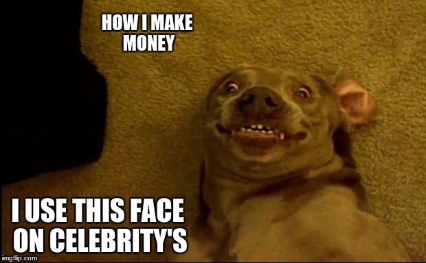 woo hoo i got money in me poocket yay | HOW I MAKE MONEY; I USE THIS FACE ON CELEBRITY'S | image tagged in dogs pets funny,memes,celebrity,money man,dog | made w/ Imgflip meme maker