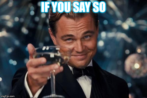 Leonardo Dicaprio Cheers Meme | IF YOU SAY SO | image tagged in memes,leonardo dicaprio cheers | made w/ Imgflip meme maker