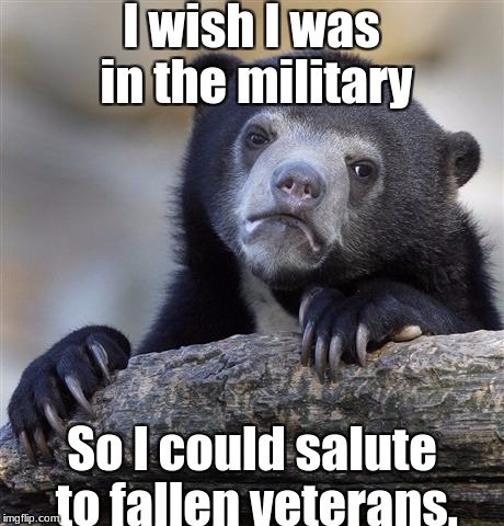 As a civilian, I have no right to salute. | I wish I was in the military; So I could salute to fallen veterans. | image tagged in memes,confession bear,respect,slowstack | made w/ Imgflip meme maker