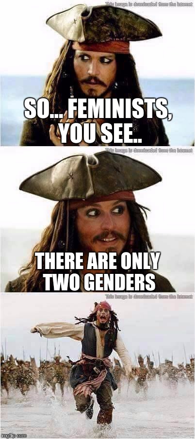 jack sparrow run | SO... FEMINISTS, YOU SEE.. THERE ARE ONLY TWO GENDERS | image tagged in jack sparrow run | made w/ Imgflip meme maker