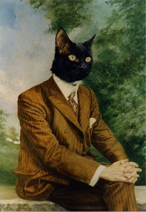 cat in a suit Blank Meme Template