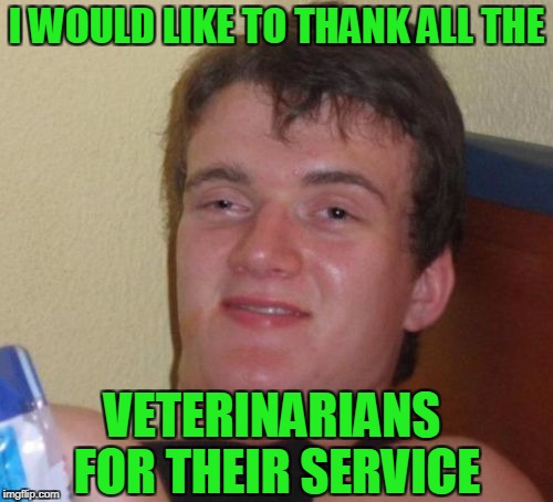 Vets | I WOULD LIKE TO THANK ALL THE; VETERINARIANS FOR THEIR SERVICE | image tagged in memes,10 guy | made w/ Imgflip meme maker