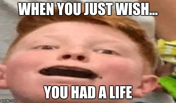No life  | WHEN YOU JUST WISH... YOU HAD A LIFE | image tagged in get a life | made w/ Imgflip meme maker